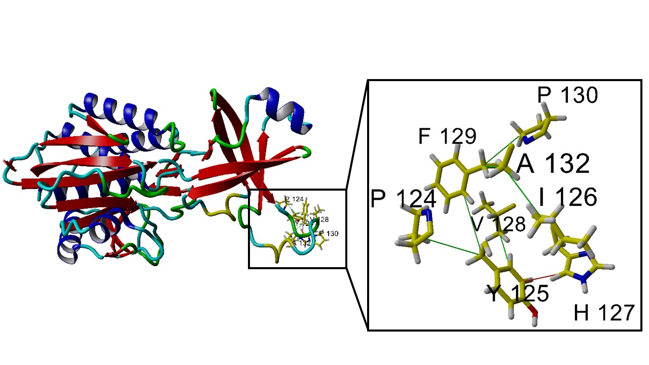 55cde314-8d25-493e-9d42-7f15b603a9cf