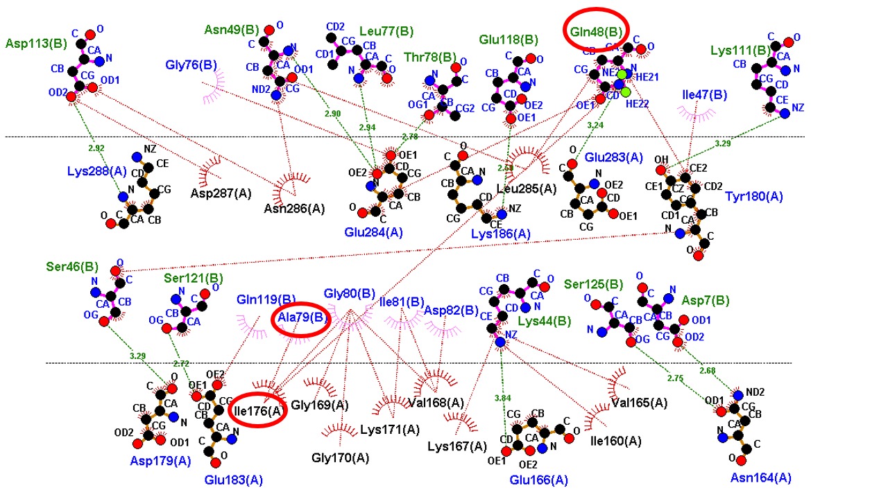 WhatsApp Image 2025-10-21 at 18.08.34